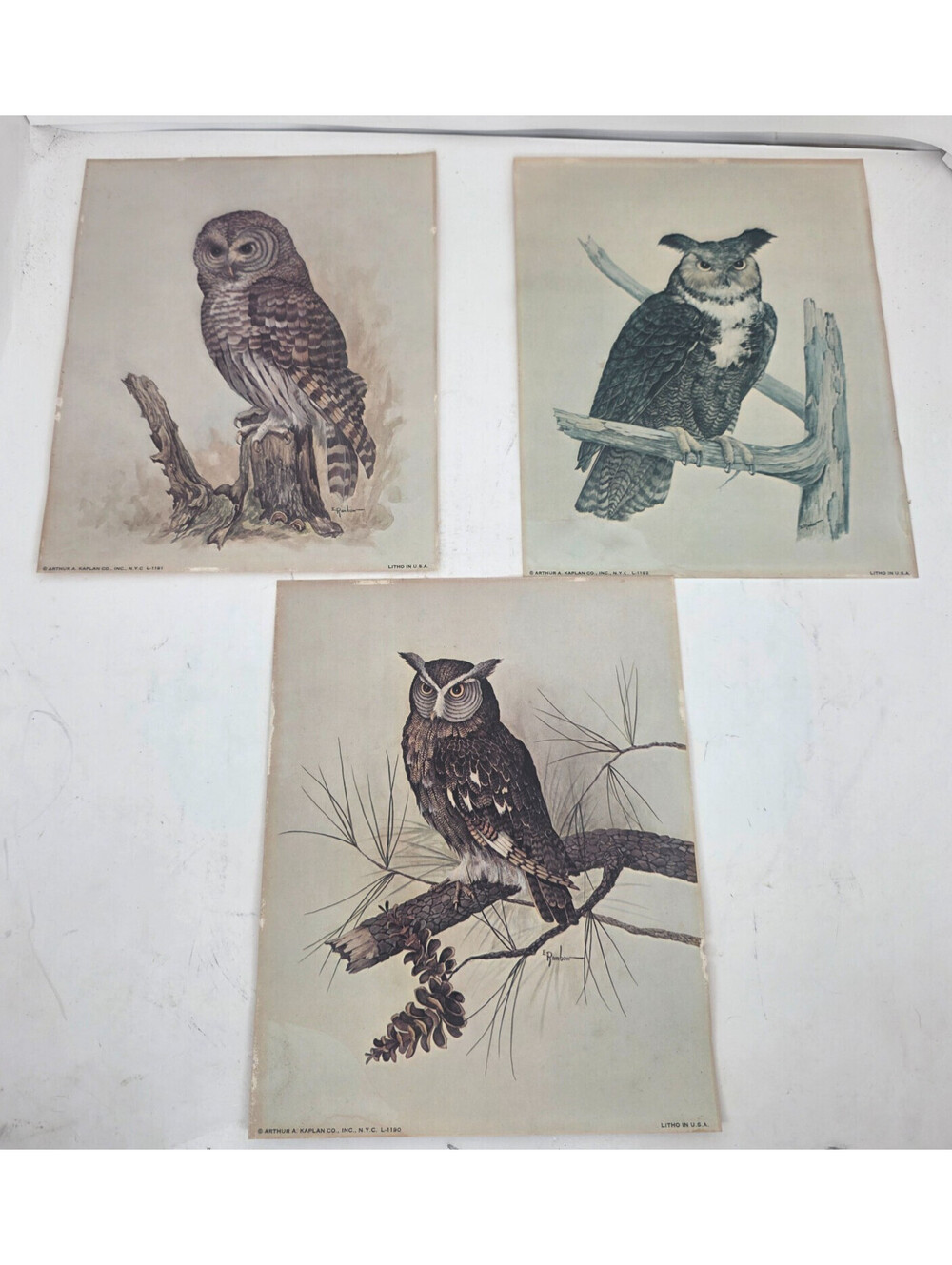 3pc Vintage Authur A Kaplan Owl Lithograph Prints E Rambow Art L-1190 1191 1192